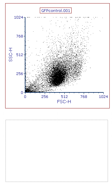 Figure T2.5  Insert Histogram - bottom image shown with placeholder of where histogram will be drawn.