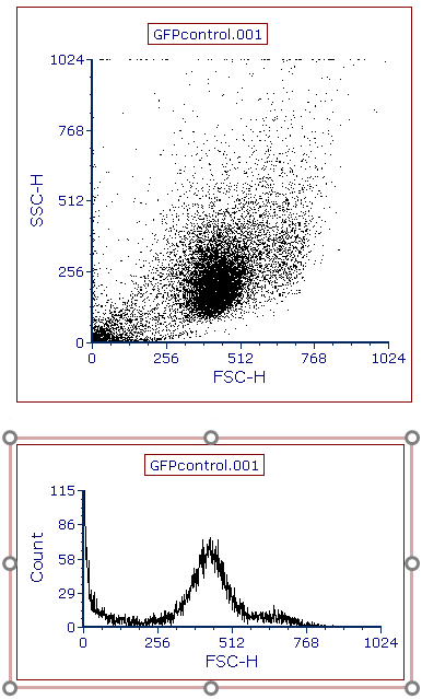 Figure T2.6  Inserted Histogram