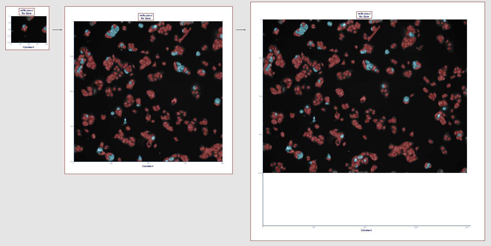 Figure T26.13a The picture plot (left) has been resized in order to display teh full picture (right) 