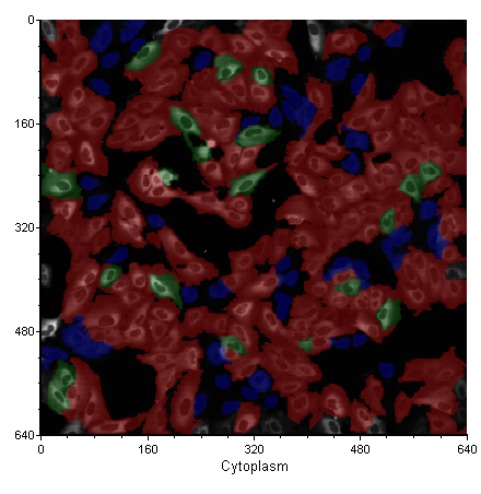 Figure 5.66  A Picture Plot
