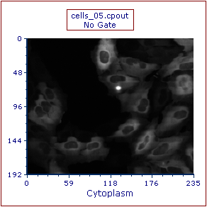 Figure T26.23  Example of the Cells (5 Minute Time Point) Picture Plot
