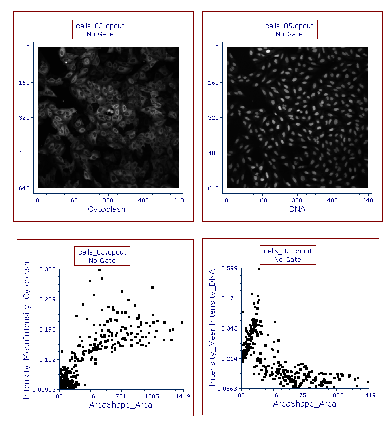 Figure T26.25  Picture and Color Dot Plots for cell_05.cpout