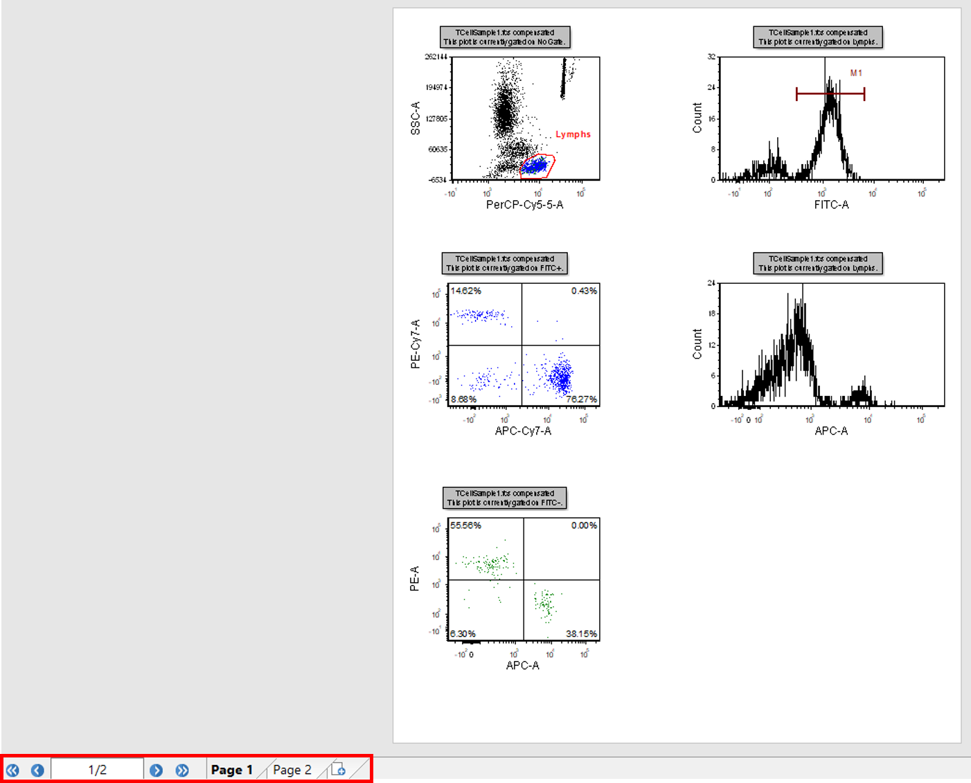 Figure T13.3  Layout Navigator - Page 1 Plots and Page Tabs