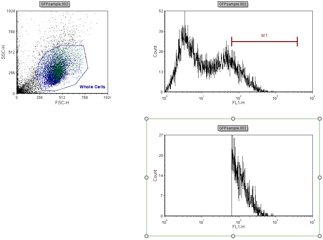 Figure T7.10  Histogram Gated on GFP+ Updated to Reflect Changes made to Marker M1 Position
