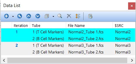 Figure T11.36  Data List Containing More Than One Iteration with Panel On