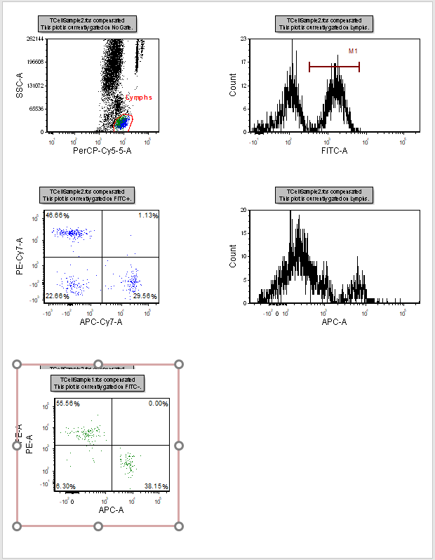 Figure T14.21  Page 2 of the Layout with the Addition of the new 2D Color Dot Plot