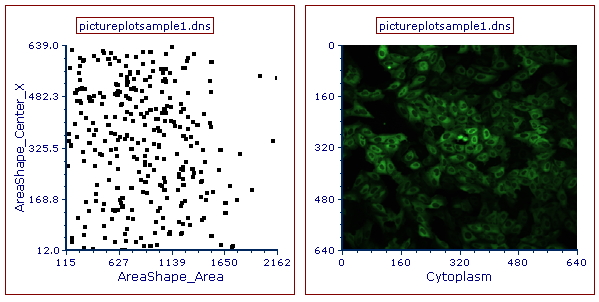 Figure T29.12  Arrangement of the Picture and Color Dot Plots