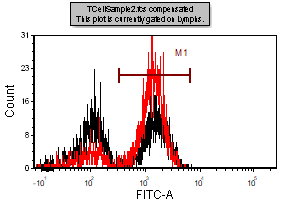 Figure T13.13  Histogram After Adding New Overlay TCellSample1.fcs Data File