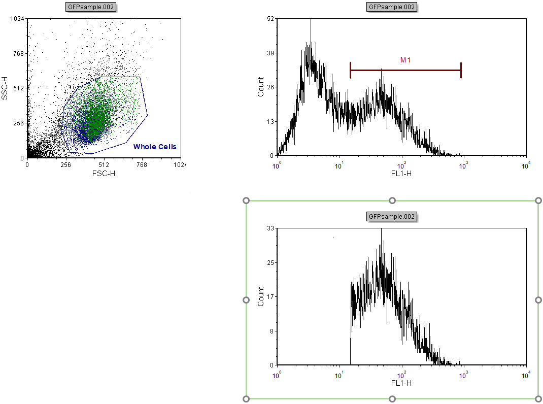 Figure T7.7  Lower Right Histogram Gated on GFP+