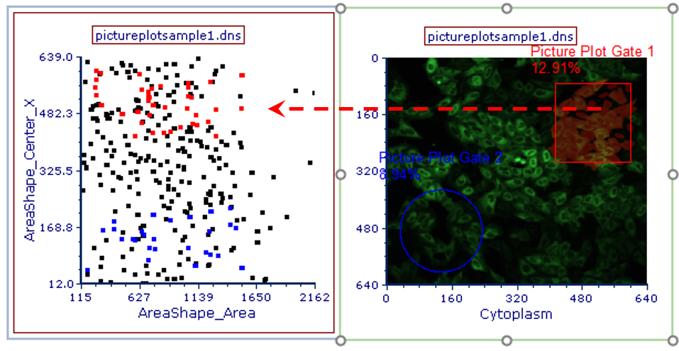 Figure T29.18  Applying Picture Plot Gate 1 to Color Dot Plot