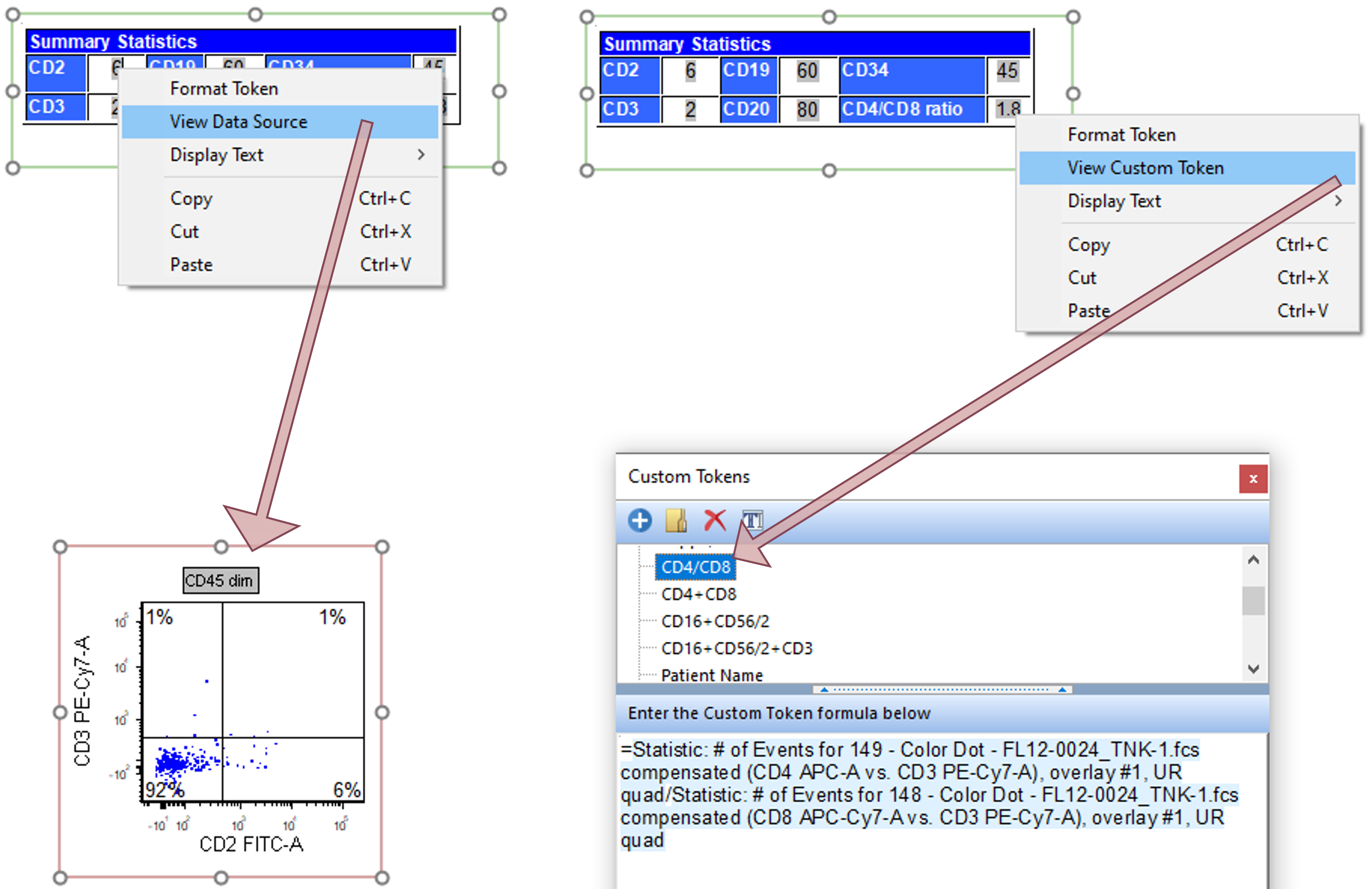 Figure 12.4 - Token and Custom Token hyperlinks to Data Source and Custom Token formula within Custom Token window, respectively.