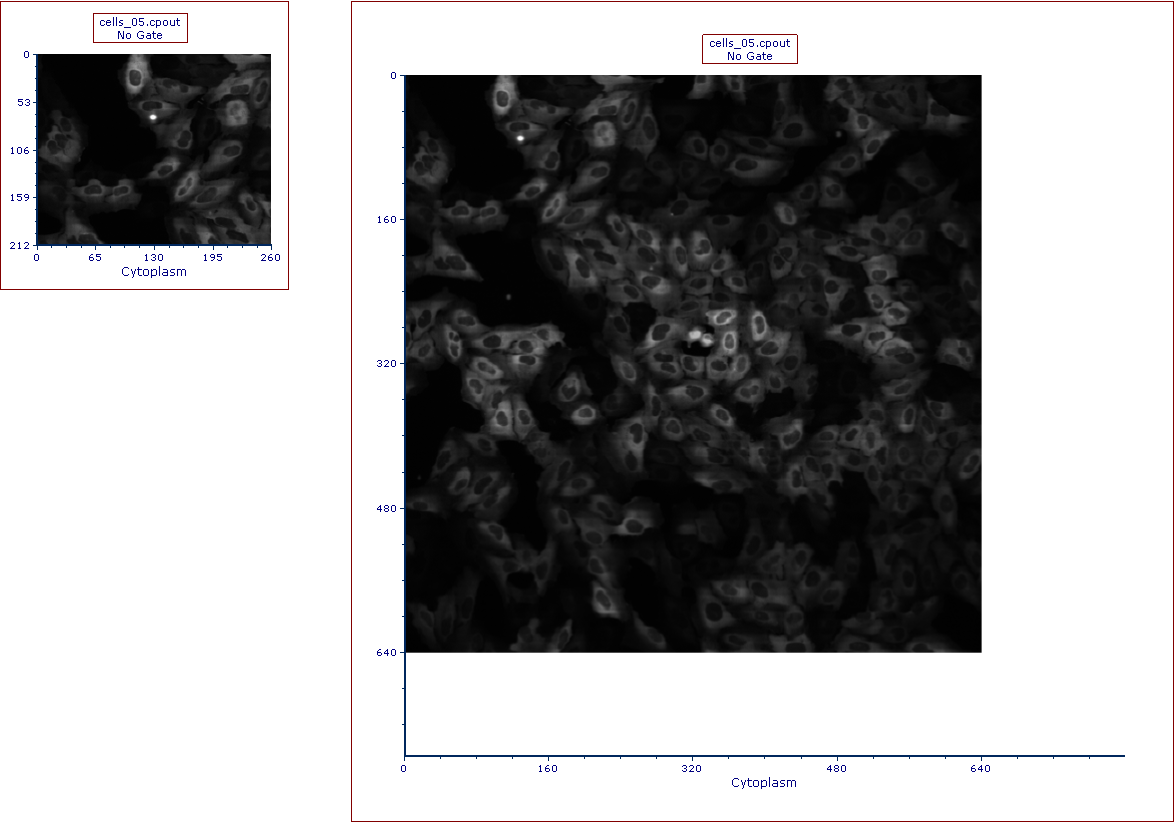 Figure T26.23a The picture plot (left) has been resized in order to display the full picture (right) 